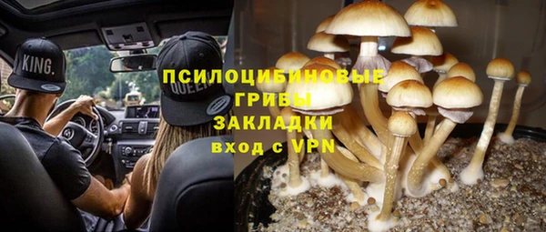 2c-b Богданович