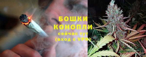 2c-b Богданович