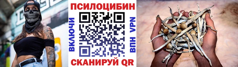 OMG рабочий сайт Городец Галлюциногенные грибы Magic Shrooms купить закладку