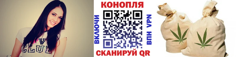 наркотики  Городец  Конопля гибрид 